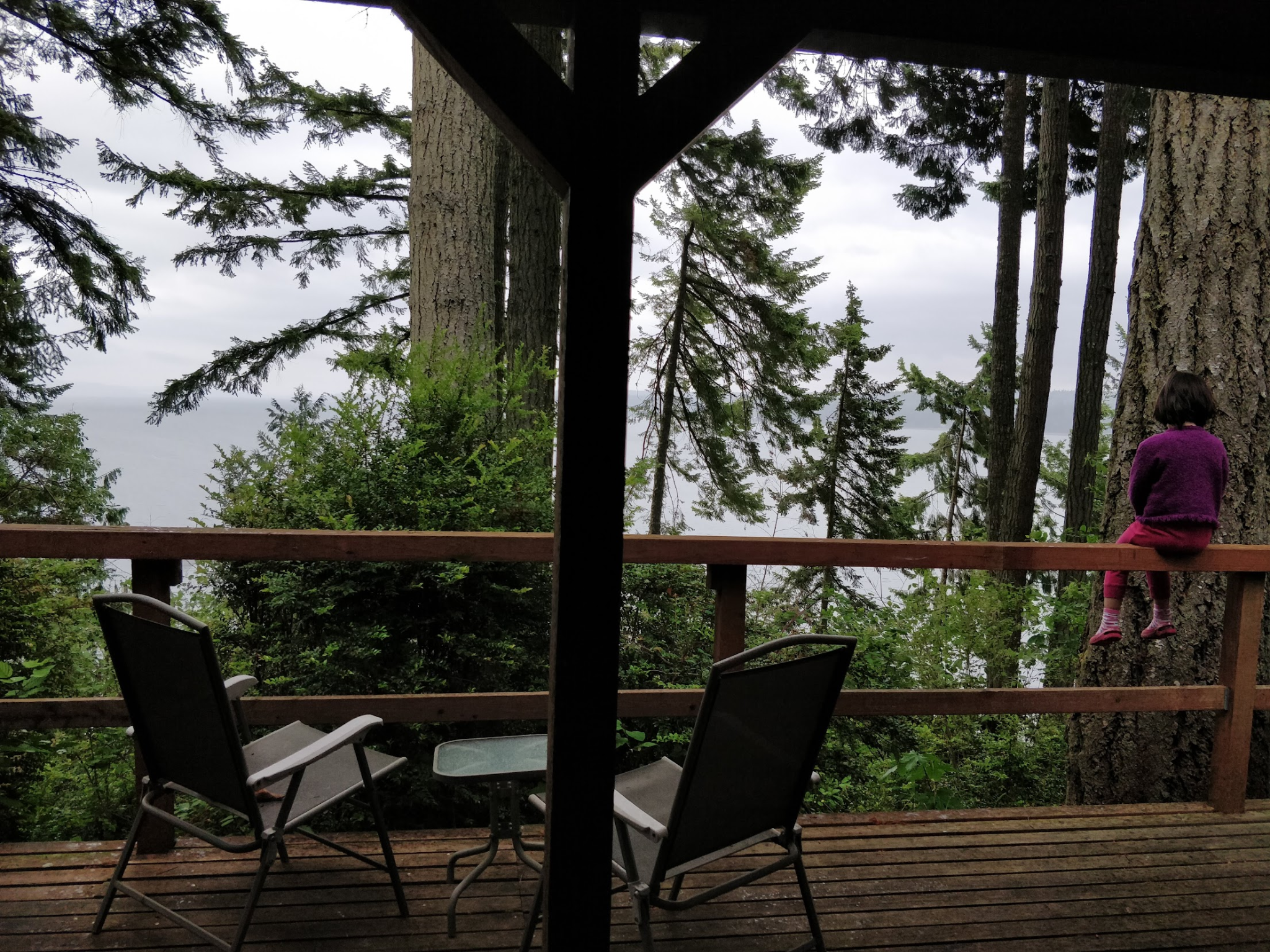 Wooden deck with chairs looking out through the trees toward the water