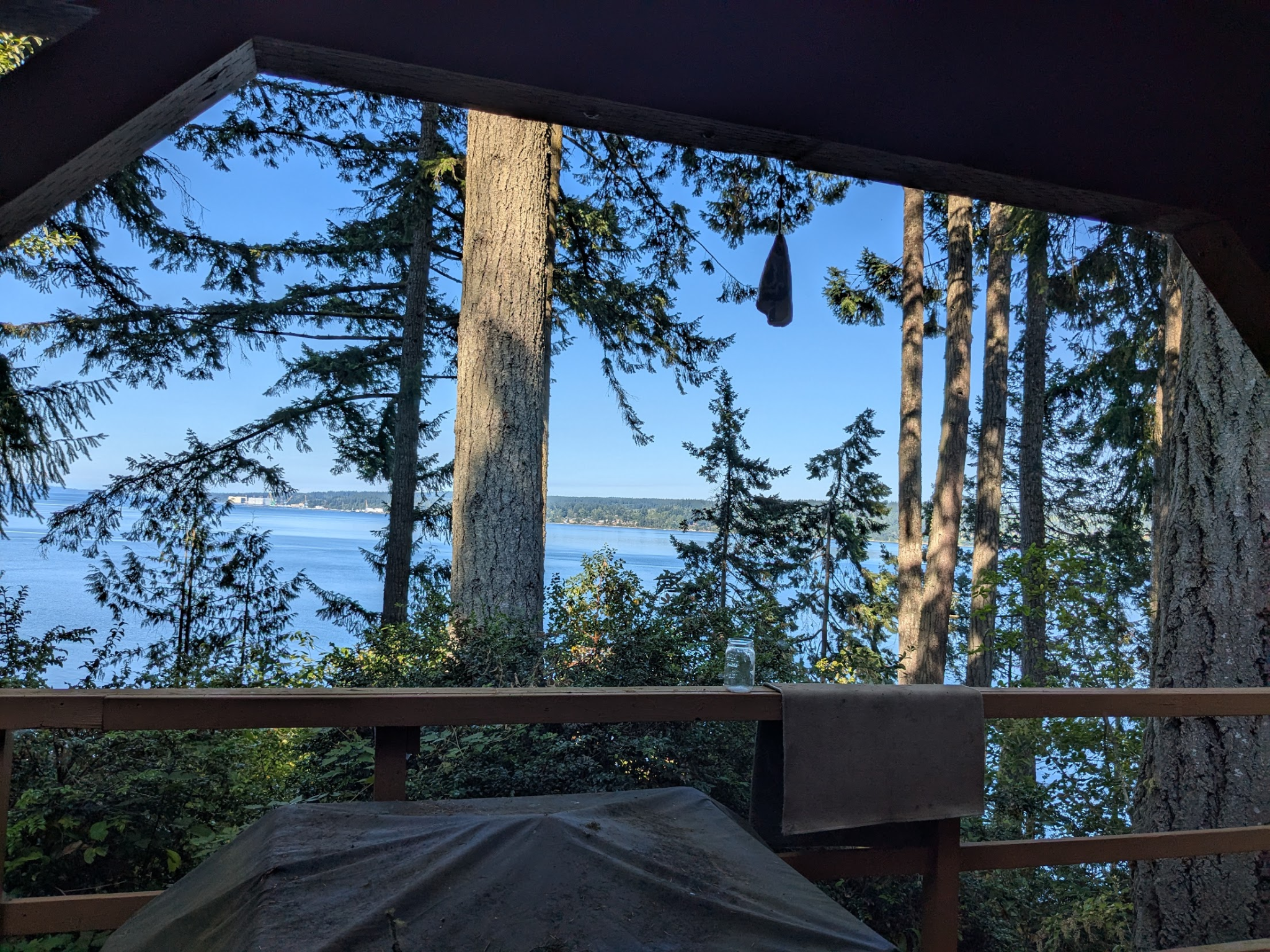 Hood Canal seen through the trees on a clear day
